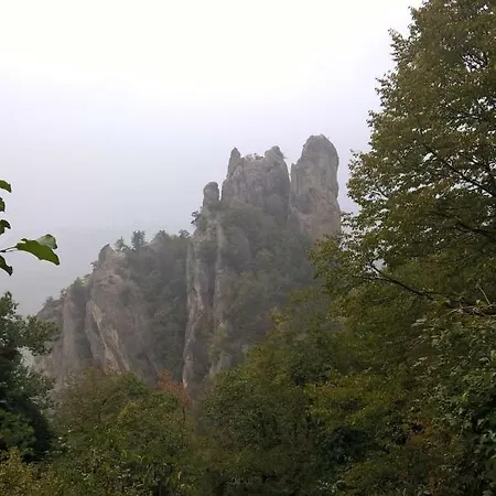 Monolocale Nel Verde *