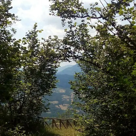 Monolocale Nel Verde * Modena